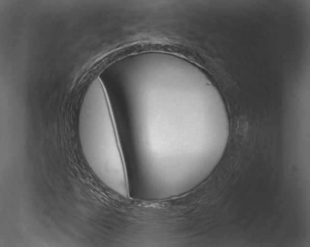 X0000085771303200703160922