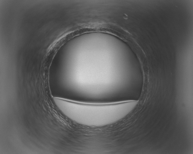 X0000085771304200703160922
