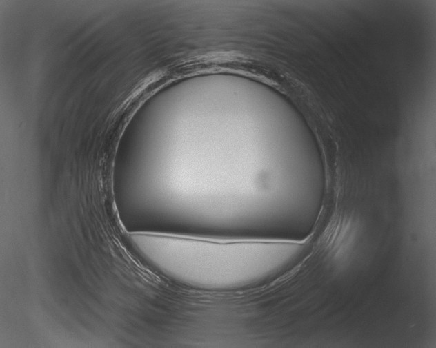X0000085771305200703160922