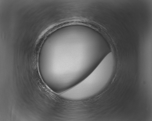 X0000085771310200703160922