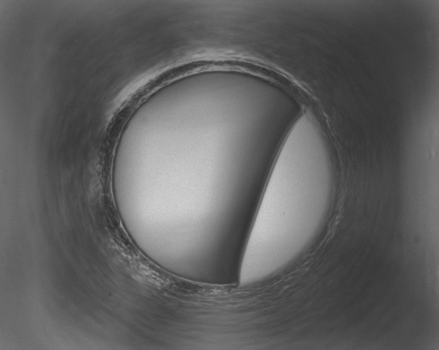 X0000085771311200703160922