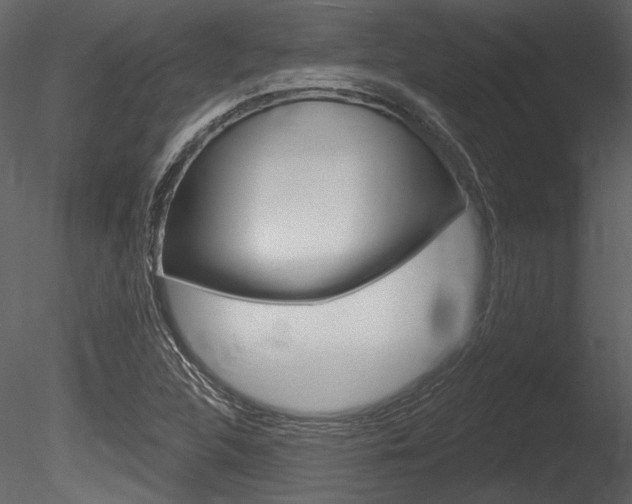 X0000085771312200703160922