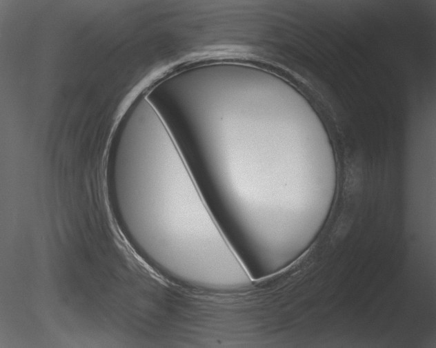 X0000085771325200703160922