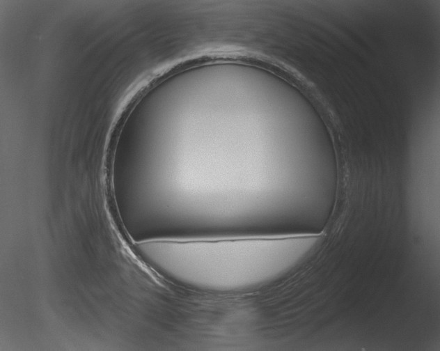 X0000085771327200703160922