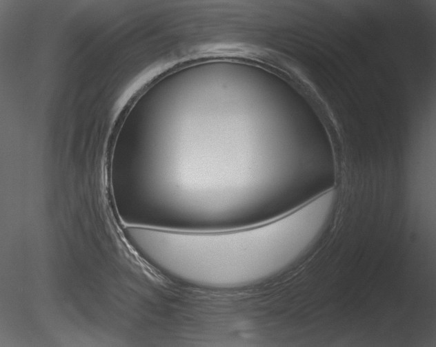 X0000085771328200703160922