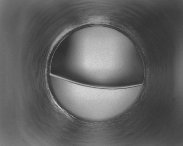 X0000085771331200703160922