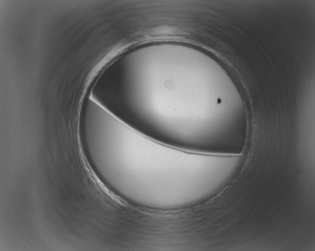 X0000085771333200703160922