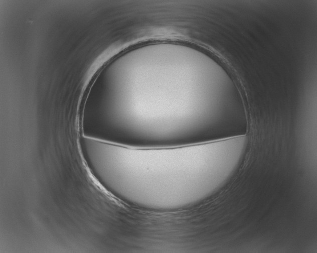 X0000085771335200703160922