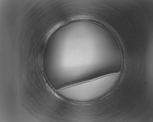X0000085771337200703160922