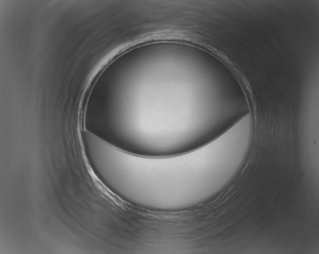 X0000085771342200703160922