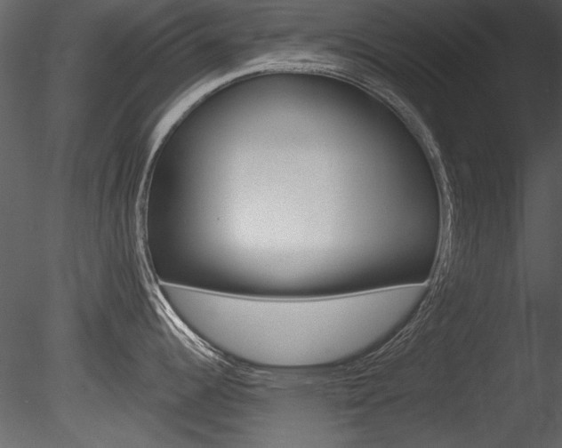 X0000085771344200703160922