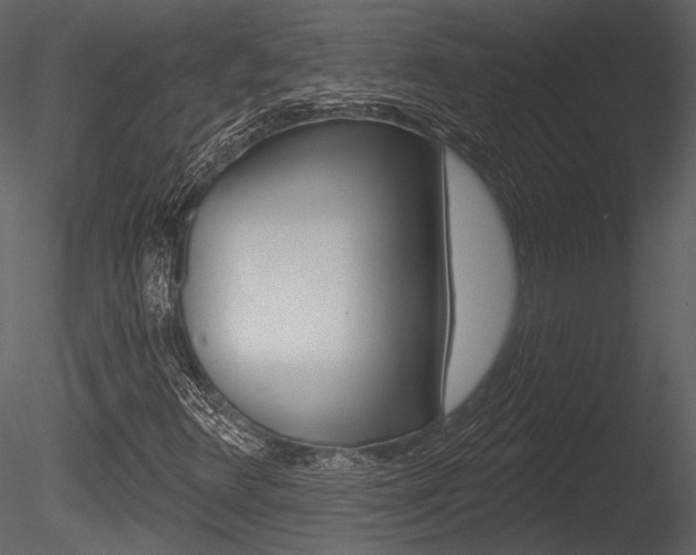 X0000085771348200703160922