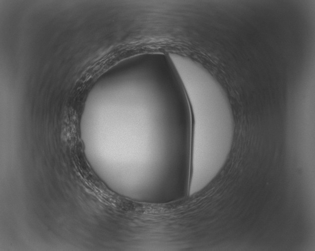 X0000085771349200703160922