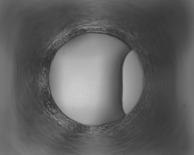 X0000085771350200703160922