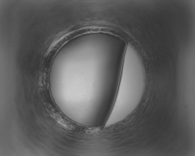 X0000085771352200703160922