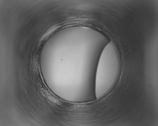 X0000085771354200703160921
