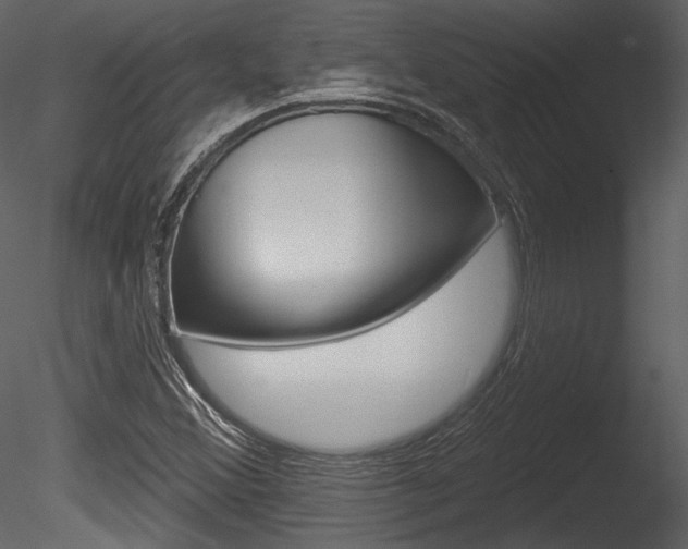 X0000085771356200703160921