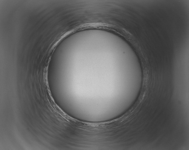 X0000085771361200703160921