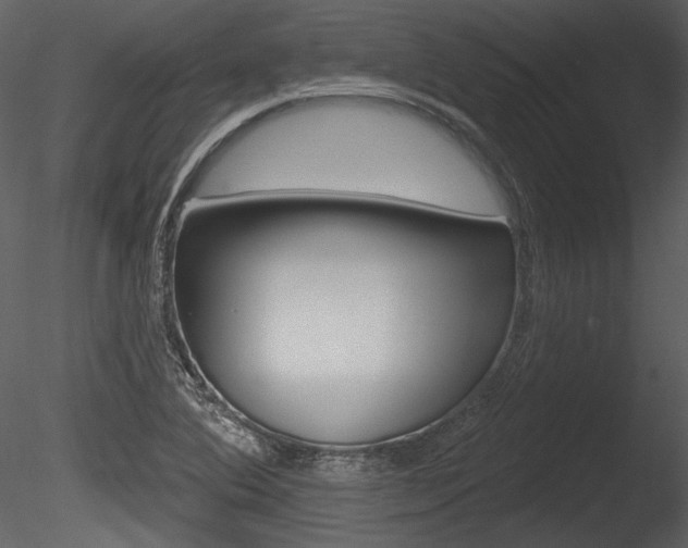 X0000085771364200703160921