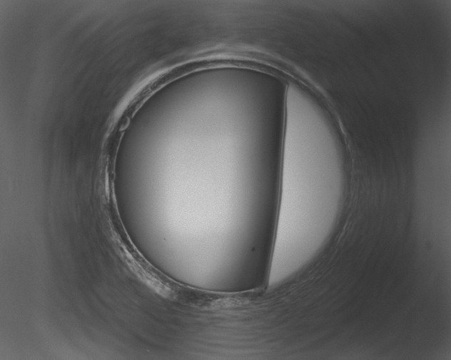 X0000085771368200703160921