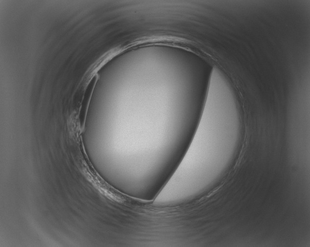 X0000085771369200703160921