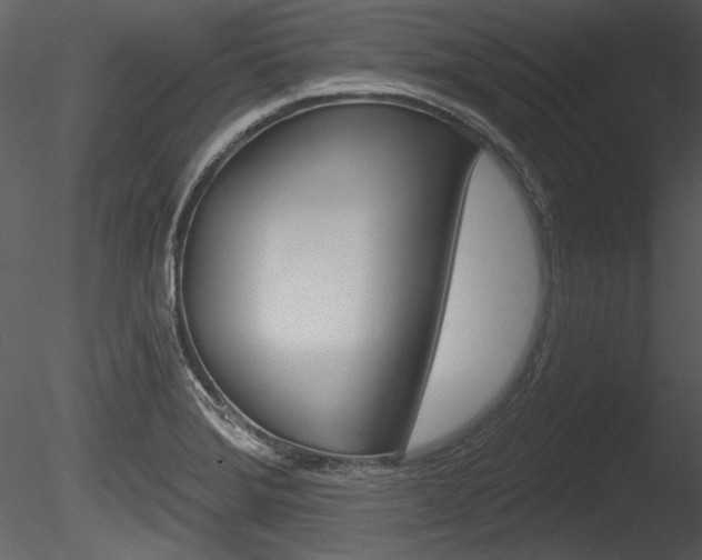 X0000085771372200703160921