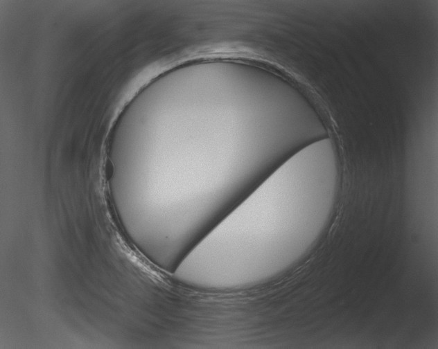 X0000085771374200703160921