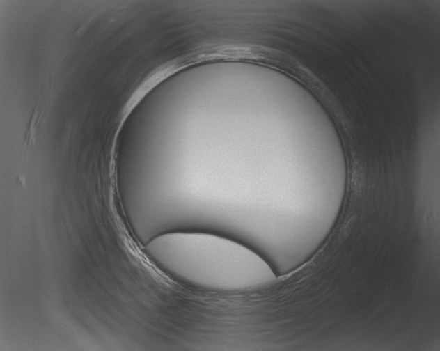 X0000085771378200703160921
