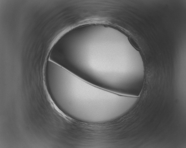 X0000085771383200703160921