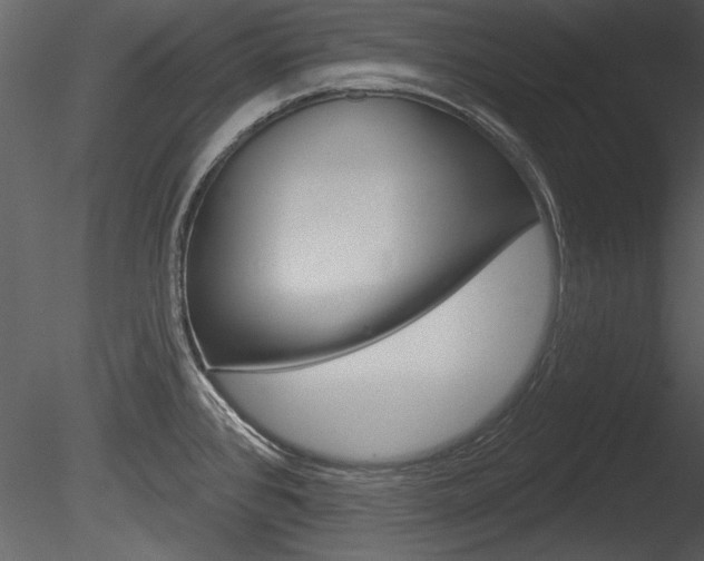 X0000085771384200703160921
