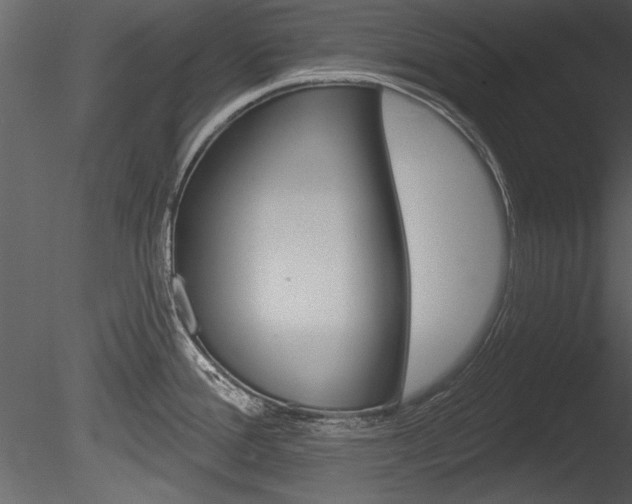 X0000085771388200703160921