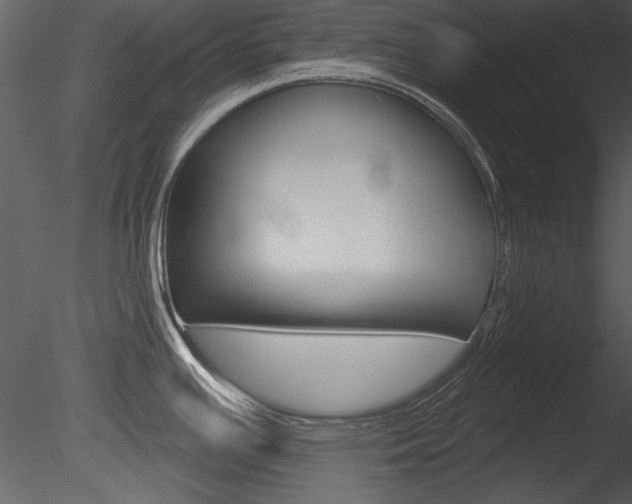 X0000085771391200703160921