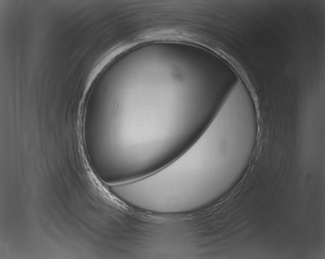 X0000085771392200703160921