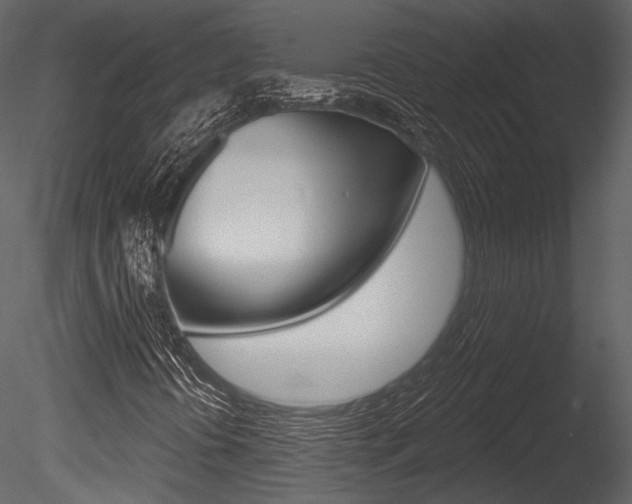 X0000085771394200703160920