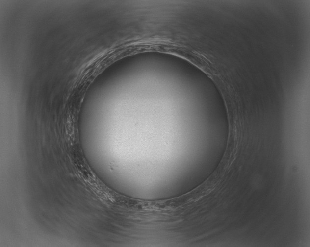 X0000085771398200703160920