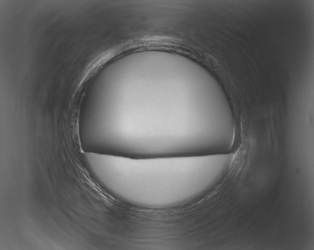 X0000085771405200703160920