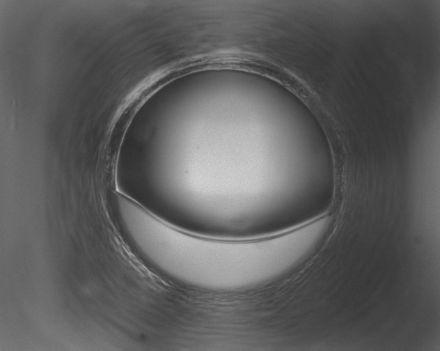 X0000085771410200703160920