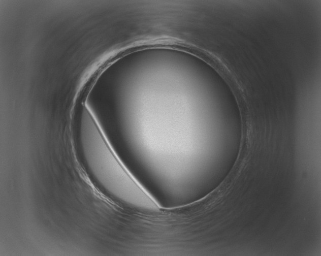 X0000085771414200703160920