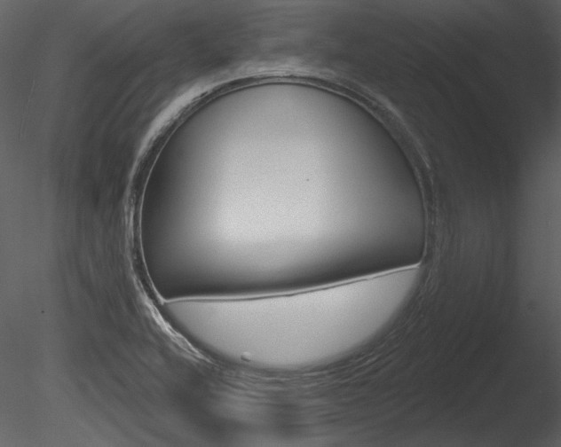 X0000085771416200703160920