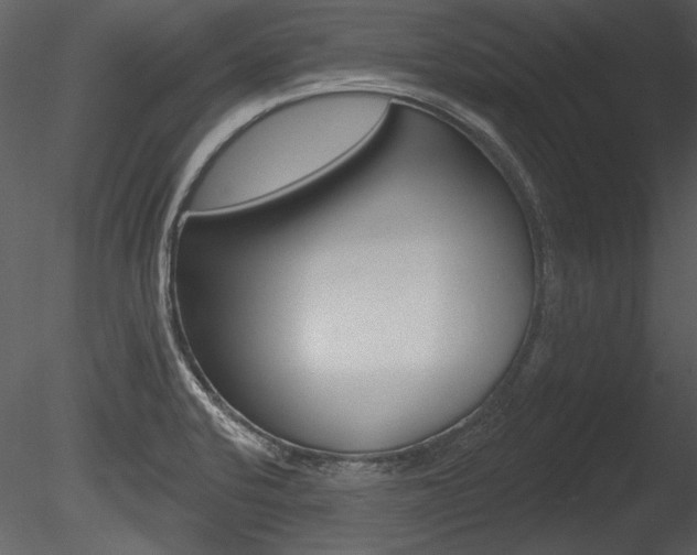 X0000085771424200703160921