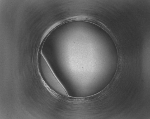 X0000085771426200703160921