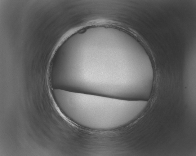 X0000085771429200703160921