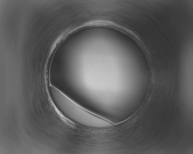 X0000085771430200703160921