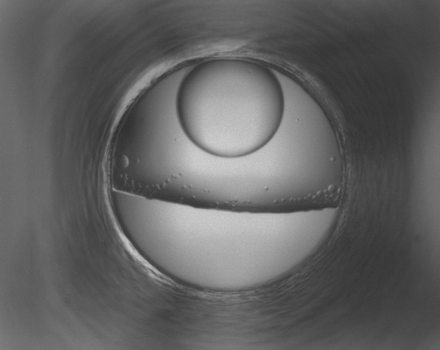 X0000085771432200703160921