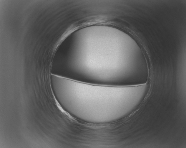 X0000085771433200703160921