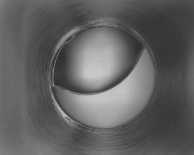 X0000085771434200703160921