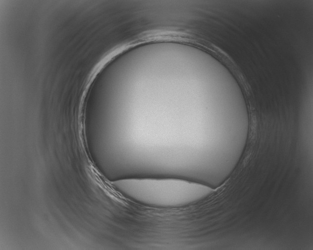 X0000085771435200703160921