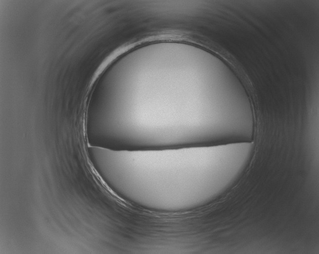 X0000085771436200703160921