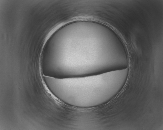 X0000085771440200703160921