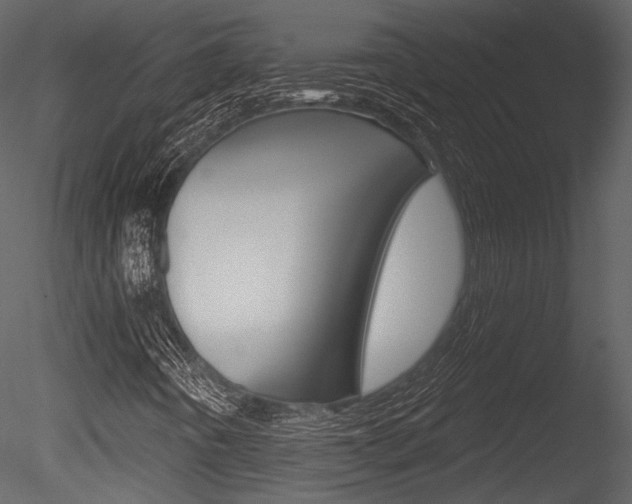 X0000085771442200703160920